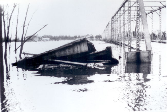 bridge5.jpg