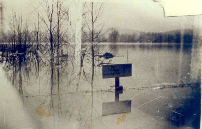 flood01.jpg