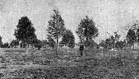 Field where hotel stood